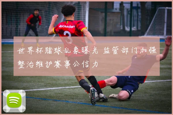 世界杯赌球乱象曝光 监管部门加强整治维护赛事公信力