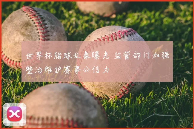 世界杯赌球乱象曝光 监管部门加强整治维护赛事公信力