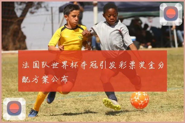 法国队世界杯夺冠引发彩票奖金分配方案公布